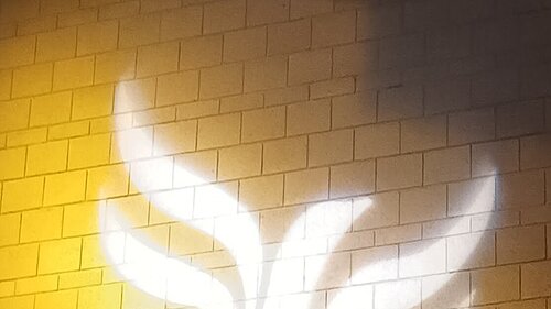 Lib Dem logo bird projected on blockwork