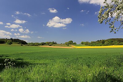 green fields solar array survey